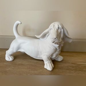 White standing basset hound